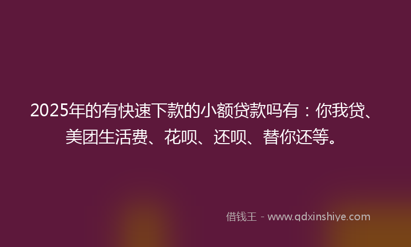 2025年的有快速下款的小额贷款吗有：你我贷、美团生活费、花呗、还呗、替你还等。