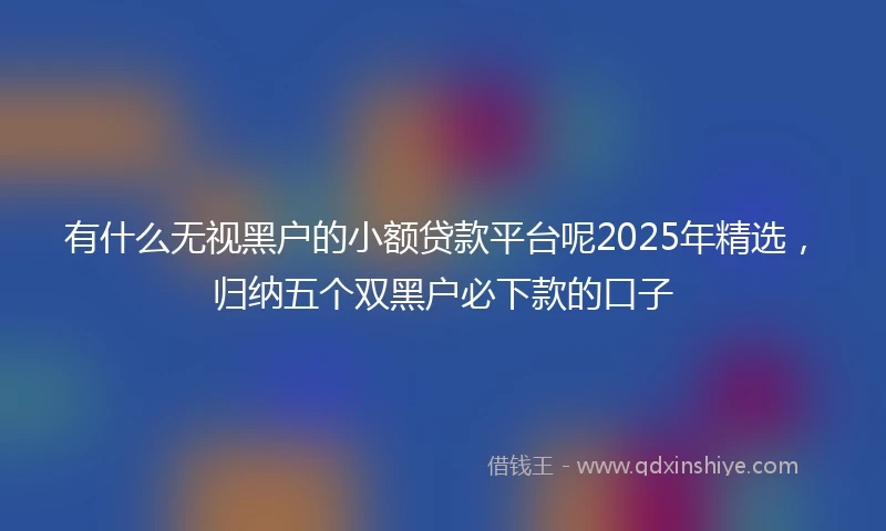 有什么无视黑户的小额贷款平台呢2025年精选，归纳五个双黑户必下款的口子