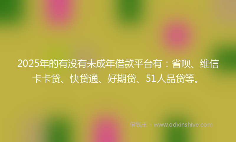 2025年的有没有未成年借款平台有：省呗、维信卡卡贷、快贷通、好期贷、51人品贷等。