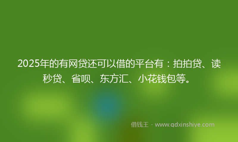 2025年的有网贷还可以借的平台有：拍拍贷、读秒贷、省呗、东方汇、小花钱包等。