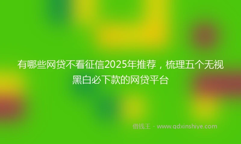 有哪些网贷不看征信2025年推荐，梳理五个无视黑白必下款的网贷平台