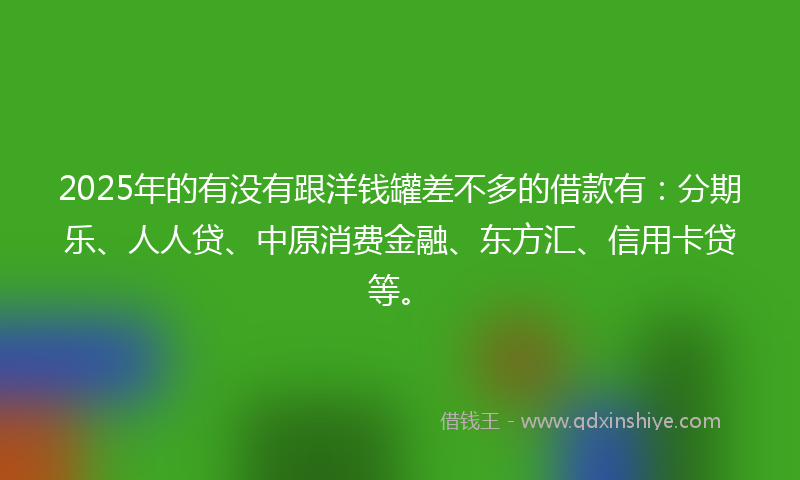 2025年的有没有跟洋钱罐差不多的借款有：分期乐、人人贷、中原消费金融、东方汇、信用卡贷等。