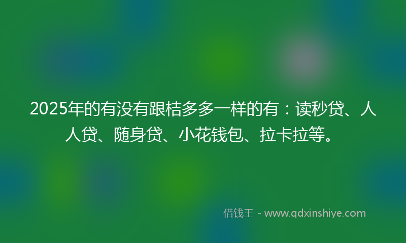 2025年的有没有跟桔多多一样的有：读秒贷、人人贷、随身贷、小花钱包、拉卡拉等。