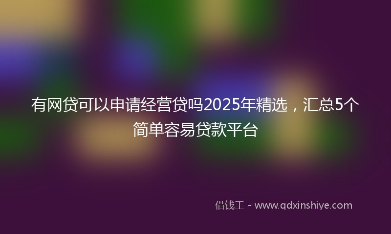 有网贷可以申请经营贷吗2025年精选，汇总5个简单容易贷款平台