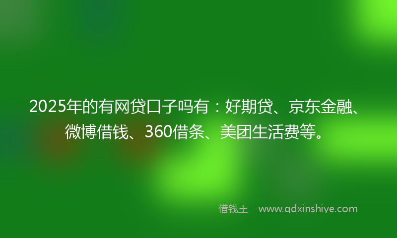 2025年的有网贷口子吗有：好期贷、京东金融、微博借钱、360借条、美团生活费等。