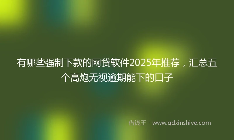 有哪些强制下款的网贷软件2025年推荐，汇总五个高炮无视逾期能下的口子