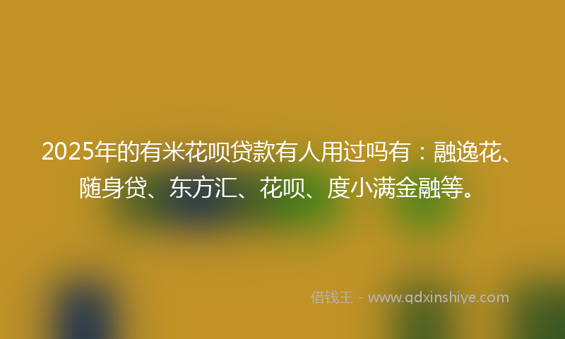 2025年的有米花呗贷款有人用过吗有：融逸花、随身贷、东方汇、花呗、度小满金融等。