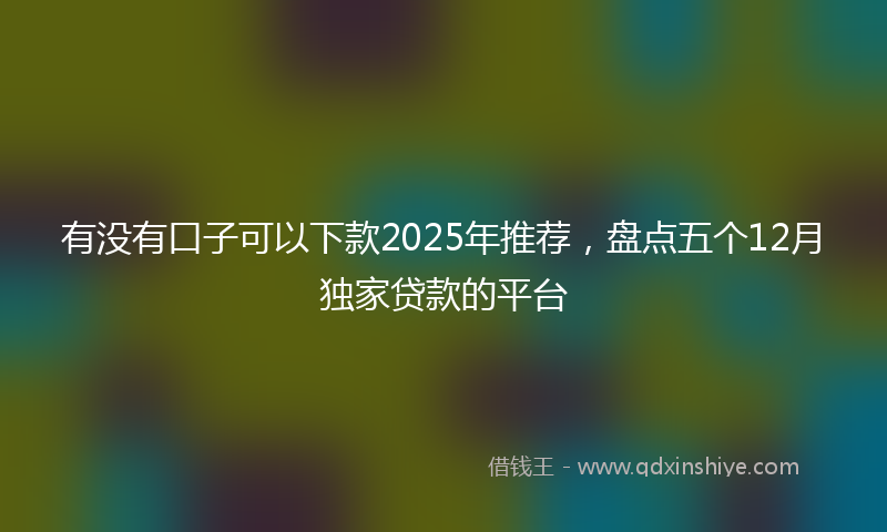 有没有口子可以下款2025年推荐，盘点五个12月独家贷款的平台