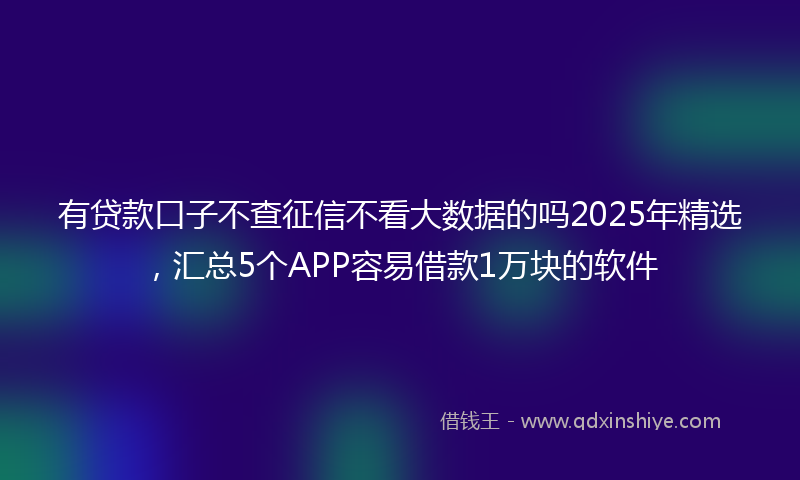 有贷款口子不查征信不看大数据的吗2025年精选，汇总5个APP容易借款1万块的软件