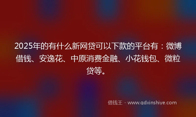 2025年的有什么新网贷可以下款的平台有：微博借钱、安逸花、中原消费金融、小花钱包、微粒贷等。