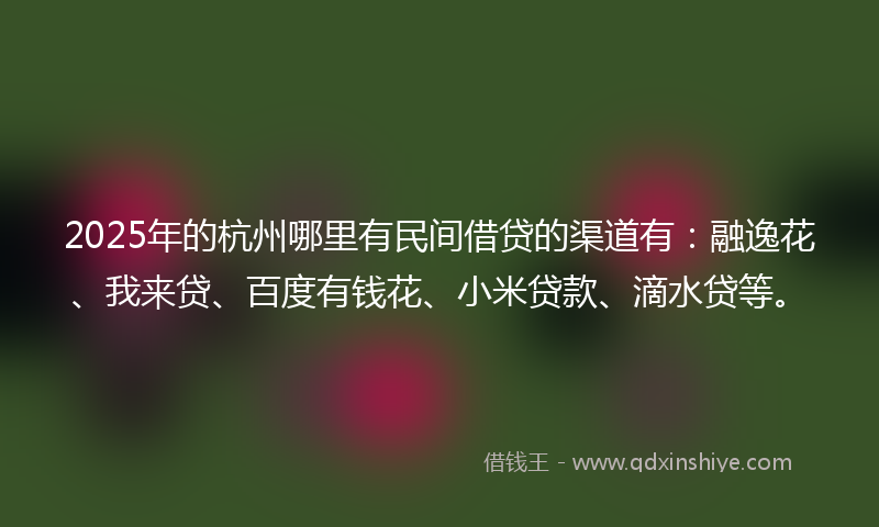 2025年的杭州哪里有民间借贷的渠道有：融逸花、我来贷、百度有钱花、小米贷款、滴水贷等。
