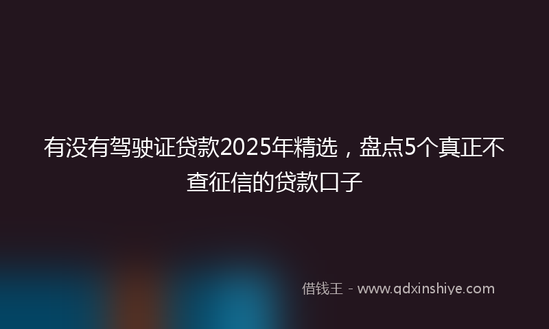 有没有驾驶证贷款2025年精选，盘点5个真正不查征信的贷款口子