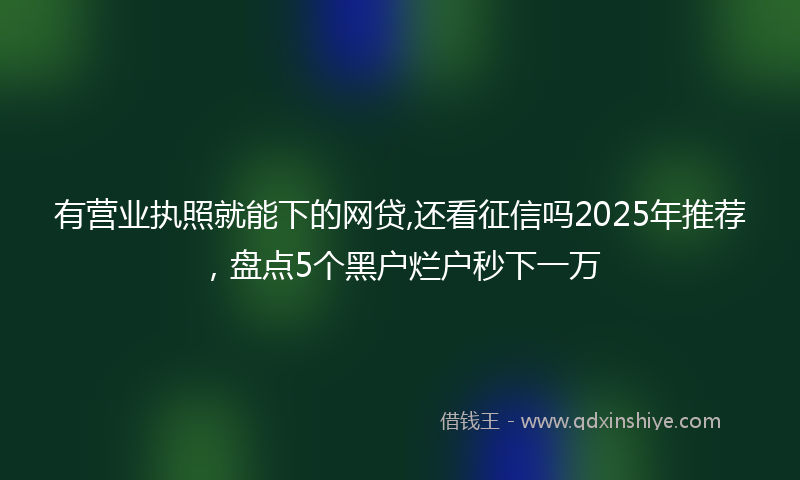 有营业执照就能下的网贷,还看征信吗2025年推荐，盘点5个黑户烂户秒下一万