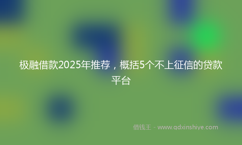 极融借款2025年推荐，概括5个不上征信的贷款平台