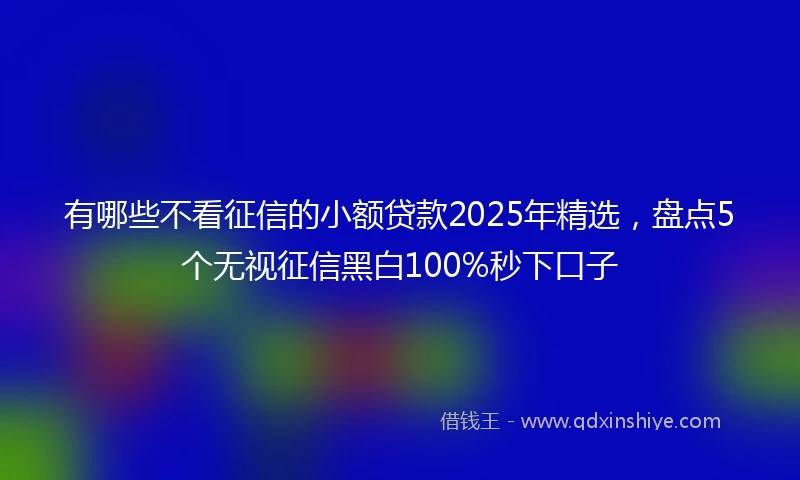 有哪些不看征信的小额贷款2025年精选，盘点5个无视征信黑白100%秒下口子