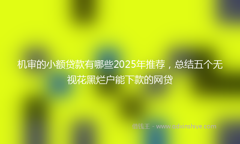 机审的小额贷款有哪些2025年推荐，总结五个无视花黑烂户能下款的网贷