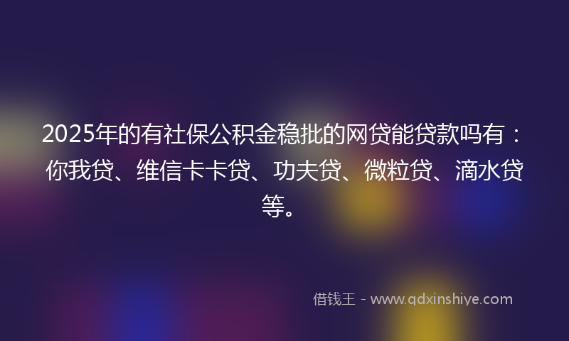 2025年的有社保公积金稳批的网贷能贷款吗有：你我贷、维信卡卡贷、功夫贷、微粒贷、滴水贷等。