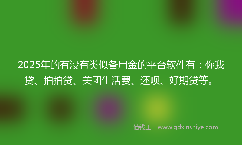 2025年的有没有类似备用金的平台软件有：你我贷、拍拍贷、美团生活费、还呗、好期贷等。