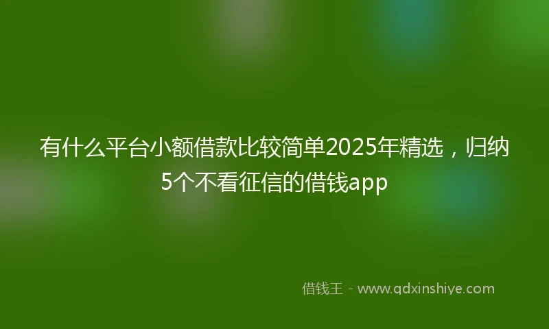 有什么平台小额借款比较简单2025年精选，归纳5个不看征信的借钱app