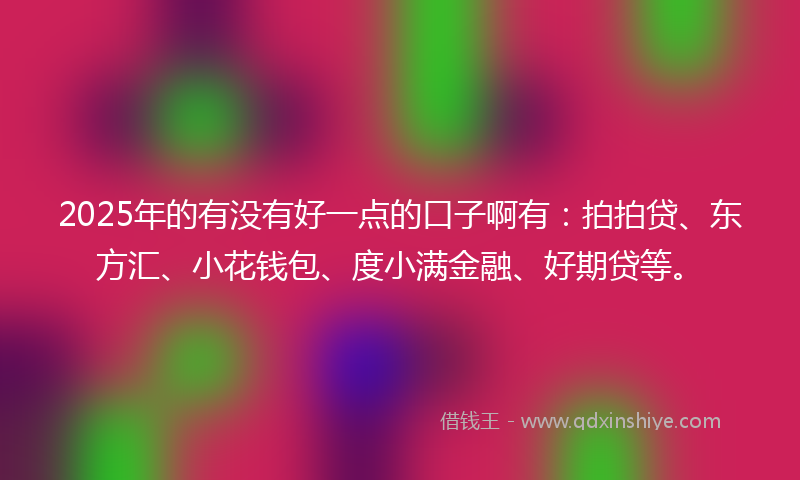 2025年的有没有好一点的口子啊有：拍拍贷、东方汇、小花钱包、度小满金融、好期贷等。