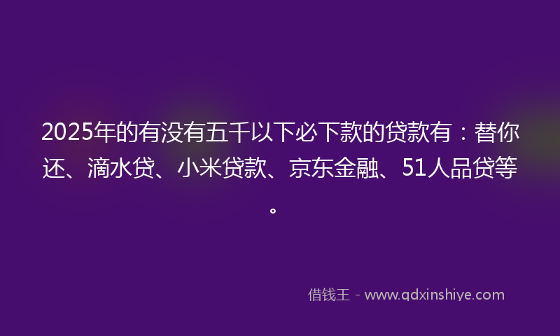 2025年的有没有五千以下必下款的贷款有：替你还、滴水贷、小米贷款、京东金融、51人品贷等。