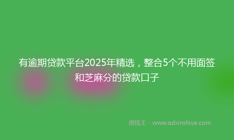 有逾期贷款平台2025年精选，整合5个不用面签和芝麻分的贷款口子