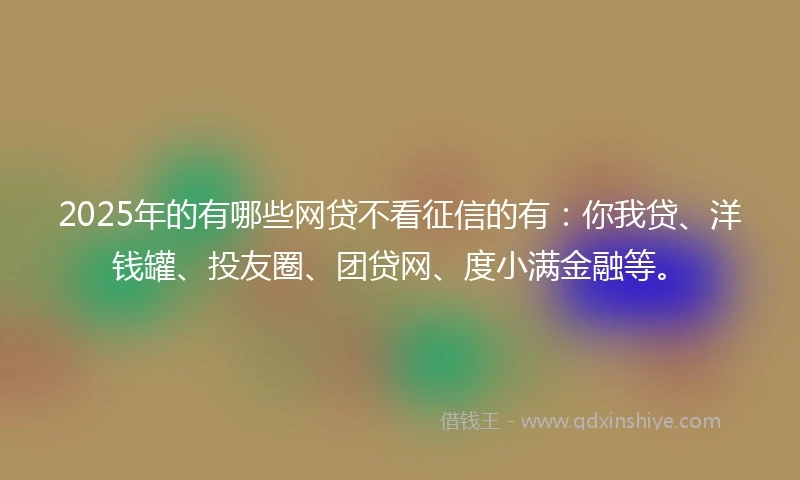 2025年的有哪些网贷不看征信的有：你我贷、洋钱罐、投友圈、团贷网、度小满金融等。