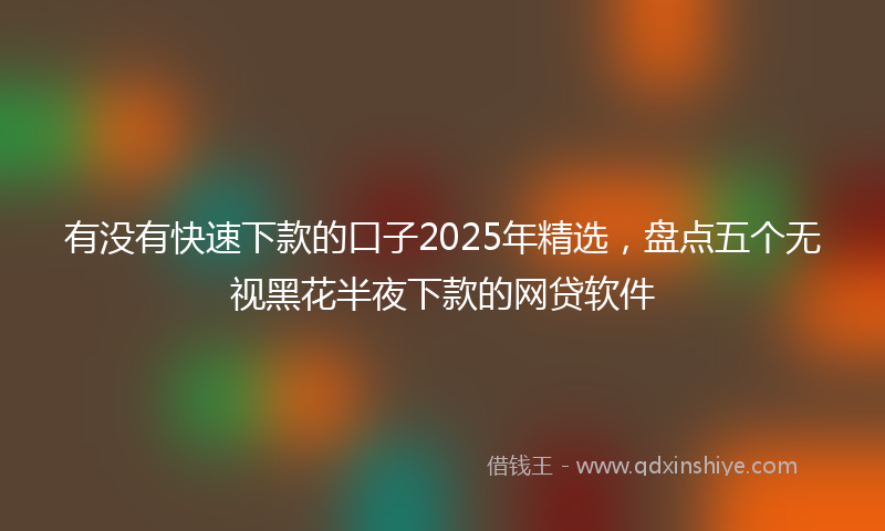 有没有快速下款的口子2025年精选，盘点五个无视黑花半夜下款的网贷软件