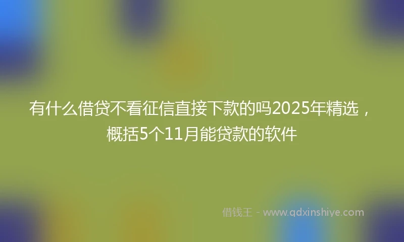 有什么借贷不看征信直接下款的吗2025年精选,概括5个11月能贷款的软件