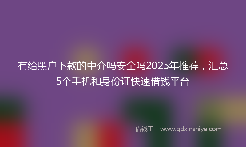 有给黑户下款的中介吗安全吗2025年推荐，汇总5个手机和身份证快速借钱平台