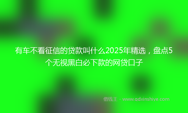 有车不看征信的贷款叫什么2025年精选，盘点5个无视黑白必下款的网贷口子