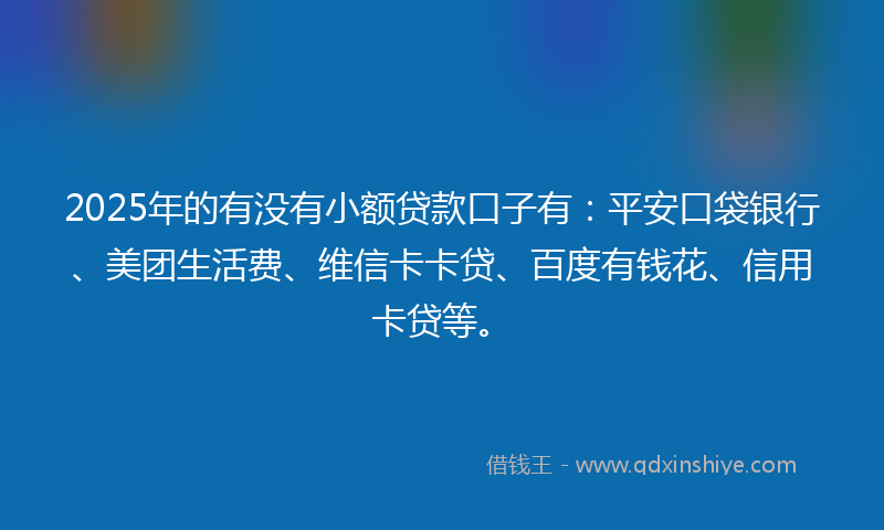 2025年的有没有小额贷款口子有：平安口袋银行、美团生活费、维信卡卡贷、百度有钱花、信用卡贷等。