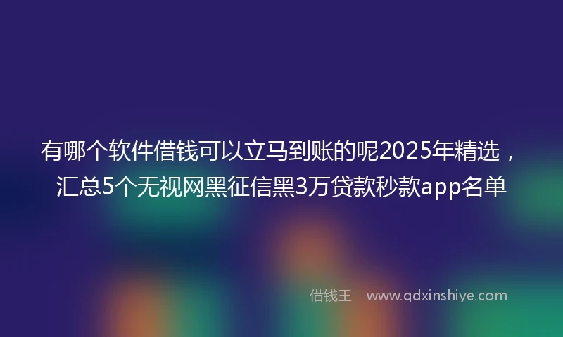 有哪个软件借钱可以立马到账的呢2025年精选，汇总5个无视网黑征信黑3万贷款秒款app名单