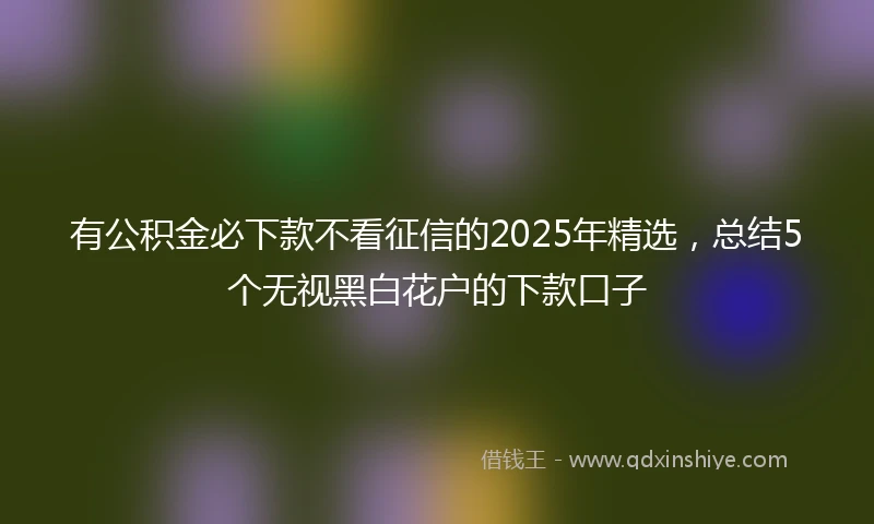 有公积金必下款不看征信的2025年精选，总结5个无视黑白花户的下款口子