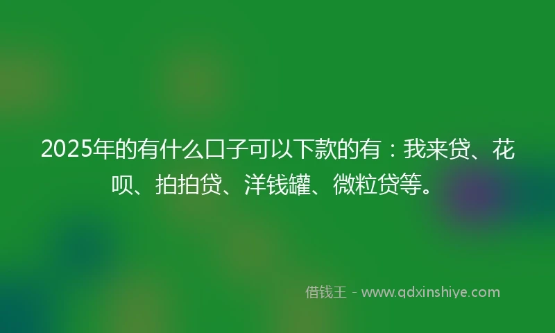 2025年的有什么口子可以下款的有：我来贷、花呗、拍拍贷、洋钱罐、微粒贷等。