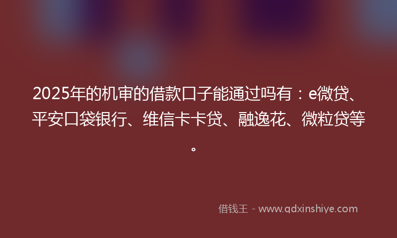 2025年的机审的借款口子能通过吗有：e微贷、平安口袋银行、维信卡卡贷、融逸花、微粒贷等。