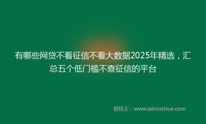 有哪些网贷不看征信不看大数据2025年精选，汇总五个低门槛不查征信的平台
