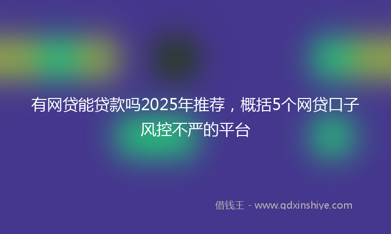 有网贷能贷款吗2025年推荐，概括5个网贷口子风控不严的平台
