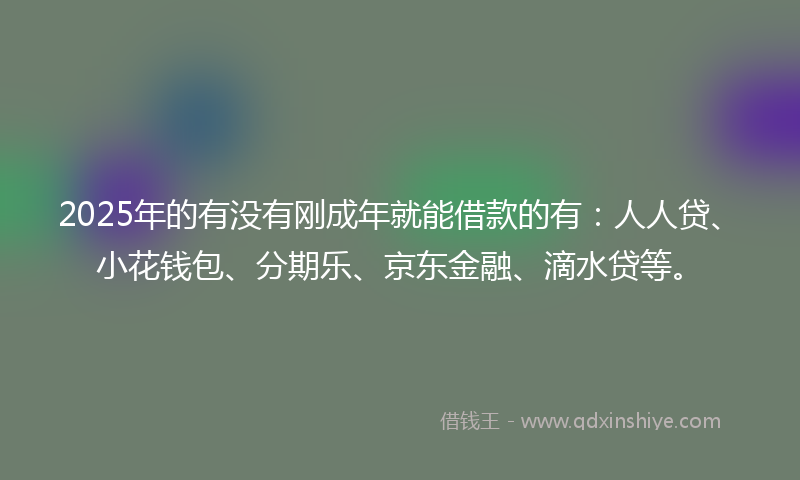 2025年的有没有刚成年就能借款的有:人人贷、小花钱包、分期乐、京东金融、滴水贷等。