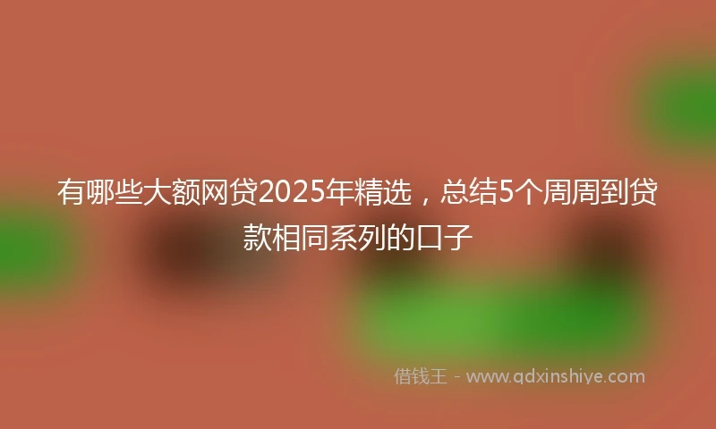 有哪些大额网贷2025年精选，总结5个周周到贷款相同系列的口子
