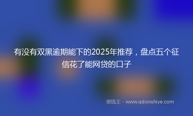 有没有双黑逾期能下的2025年推荐，盘点五个征信花了能网贷的口子