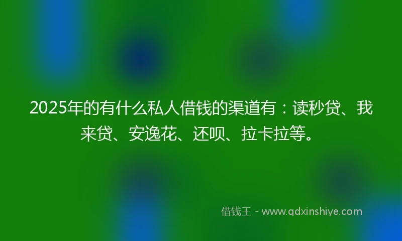 2025年的有什么私人借钱的渠道有：读秒贷、我来贷、安逸花、还呗、拉卡拉等。