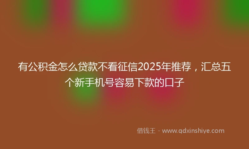 有公积金怎么贷款不看征信2025年推荐，汇总五个新手机号容易下款的口子