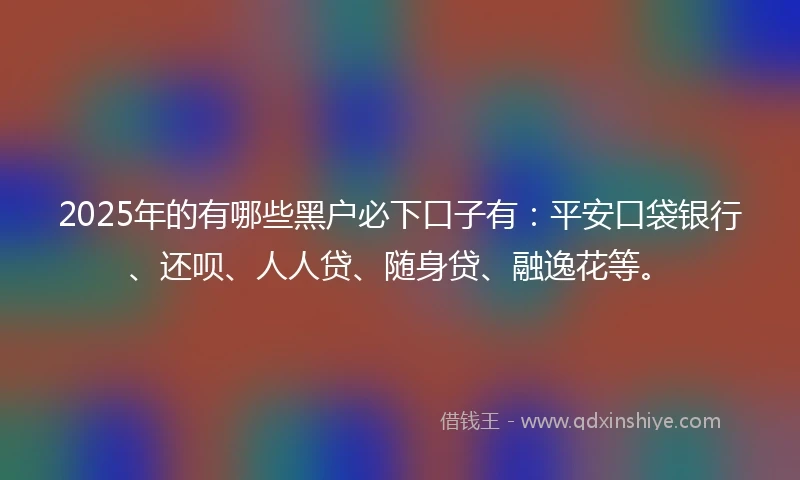 2025年的有哪些黑户必下口子有：平安口袋银行、还呗、人人贷、随身贷、融逸花等。