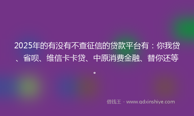 2025年的有没有不查征信的贷款平台有：你我贷、省呗、维信卡卡贷、中原消费金融、替你还等。