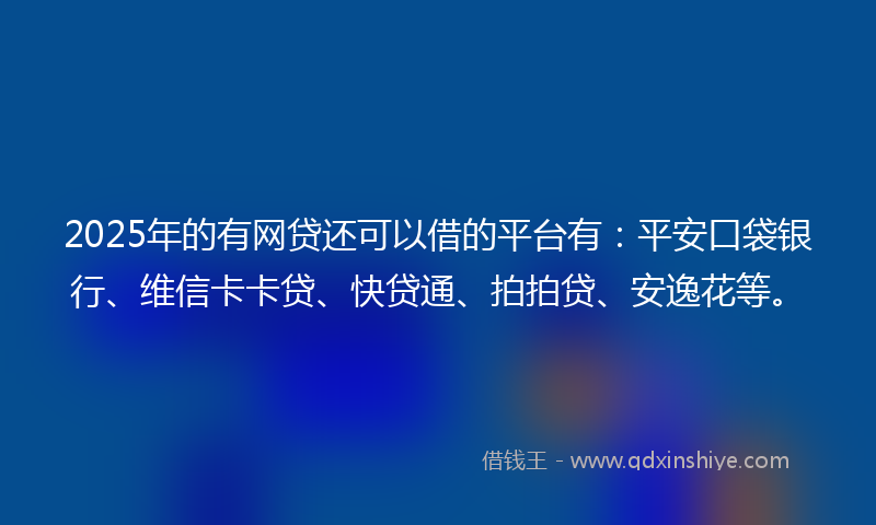 2025年的有网贷还可以借的平台有：平安口袋银行、维信卡卡贷、快贷通、拍拍贷、安逸花等。