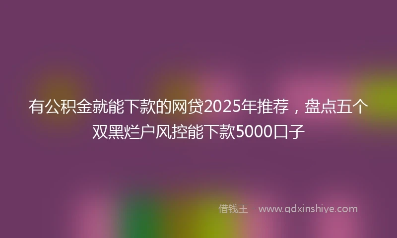 有公积金就能下款的网贷2025年推荐，盘点五个双黑烂户风控能下款5000口子