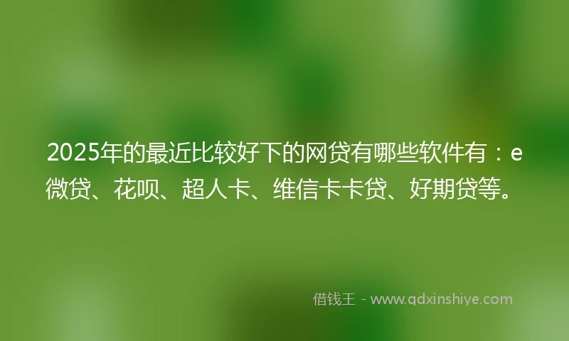 2025年的最近比较好下的网贷有哪些软件有：e微贷、花呗、超人卡、维信卡卡贷、好期贷等。