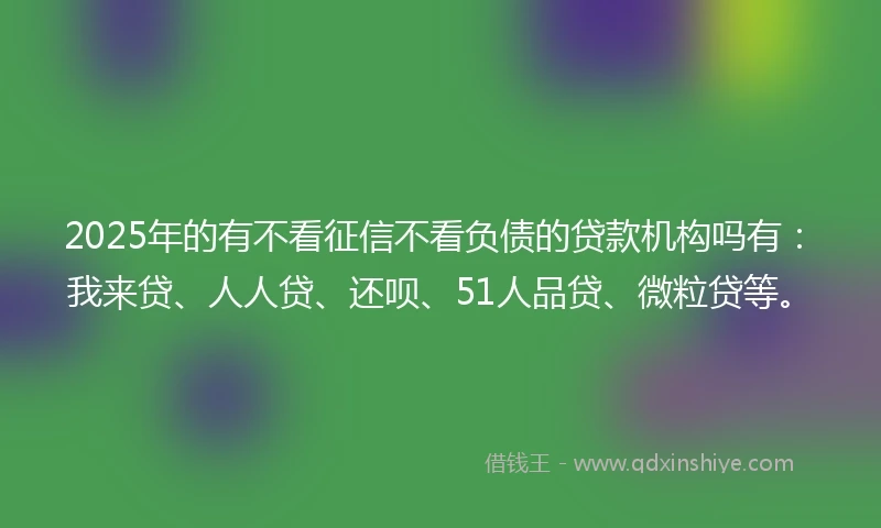 2025年的有不看征信不看负债的贷款机构吗有：我来贷、人人贷、还呗、51人品贷、微粒贷等。