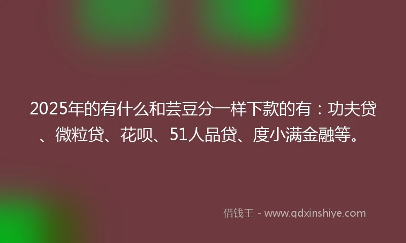 2025年的有什么和芸豆分一样下款的有：功夫贷、微粒贷、花呗、51人品贷、度小满金融等。